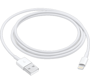 Apple Lightning to USB cable